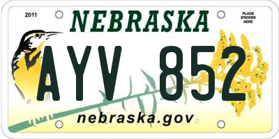 NE license plate AYV852