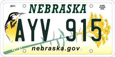 NE license plate AYV915