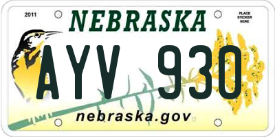 NE license plate AYV930