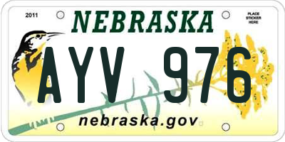 NE license plate AYV976