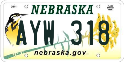 NE license plate AYW318