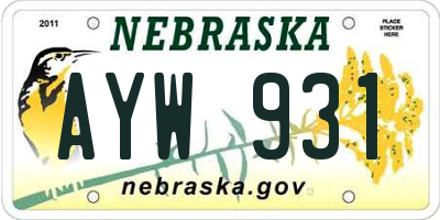 NE license plate AYW931