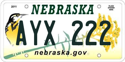 NE license plate AYX222