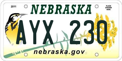NE license plate AYX230