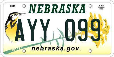 NE license plate AYY099