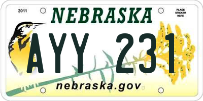 NE license plate AYY231