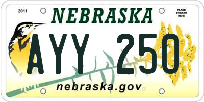 NE license plate AYY250
