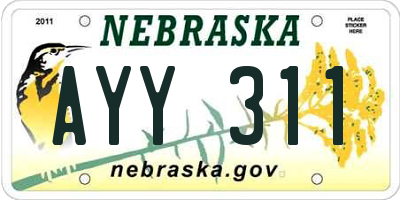NE license plate AYY311
