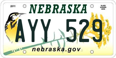 NE license plate AYY529