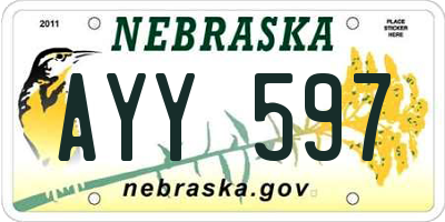 NE license plate AYY597