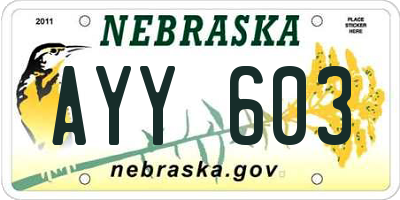NE license plate AYY603