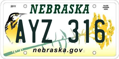 NE license plate AYZ316