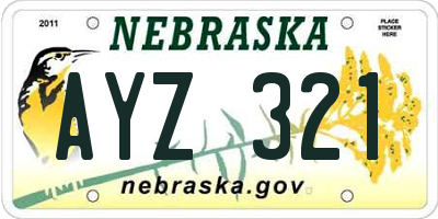 NE license plate AYZ321