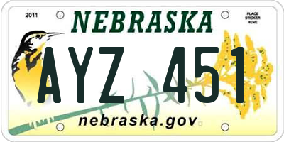 NE license plate AYZ451