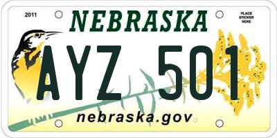 NE license plate AYZ501