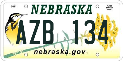 NE license plate AZB134