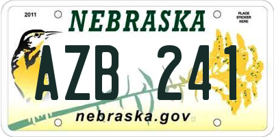 NE license plate AZB241