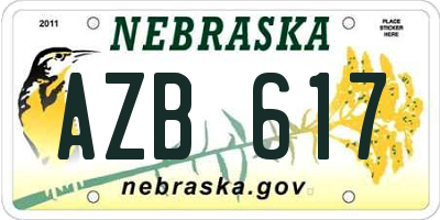 NE license plate AZB617