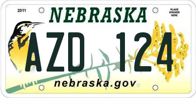 NE license plate AZD124