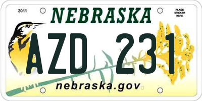 NE license plate AZD231