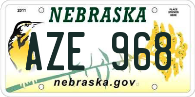 NE license plate AZE968