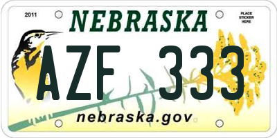 NE license plate AZF333