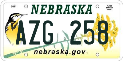 NE license plate AZG258