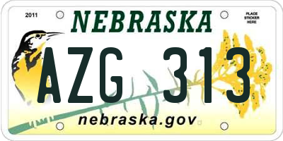 NE license plate AZG313