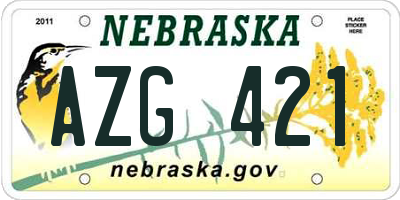 NE license plate AZG421