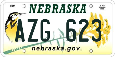 NE license plate AZG623