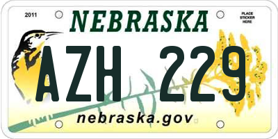 NE license plate AZH229