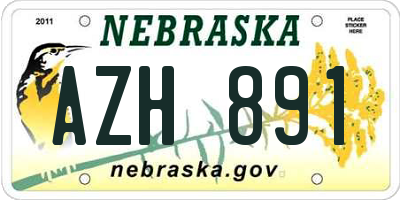NE license plate AZH891