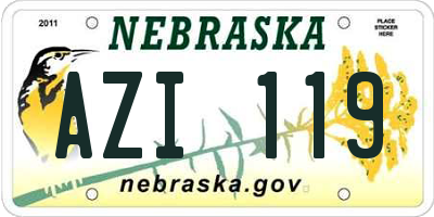 NE license plate AZI119