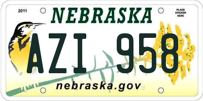 NE license plate AZI958