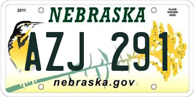 NE license plate AZJ291
