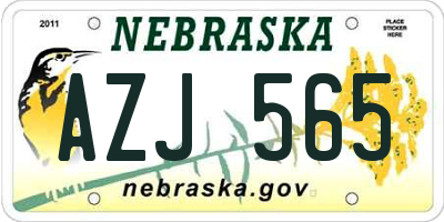 NE license plate AZJ565