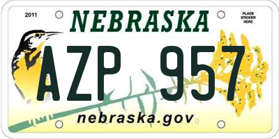 NE license plate AZP957