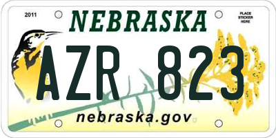 NE license plate AZR823