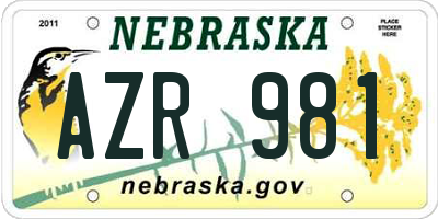 NE license plate AZR981