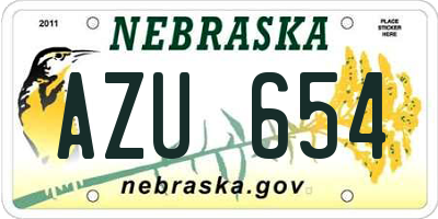 NE license plate AZU654
