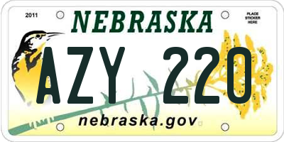 NE license plate AZY220