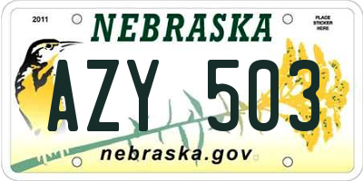 NE license plate AZY503