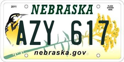 NE license plate AZY617