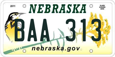 NE license plate BAA313