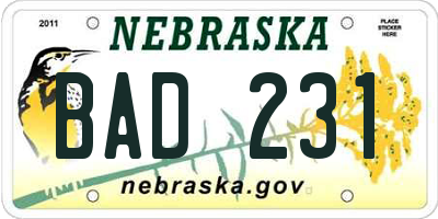 NE license plate BAD231