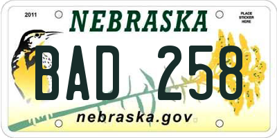 NE license plate BAD258