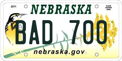 NE license plate BAD700
