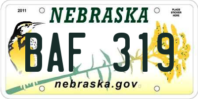 NE license plate BAF319