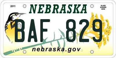 NE license plate BAF829