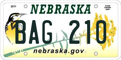 NE license plate BAG210